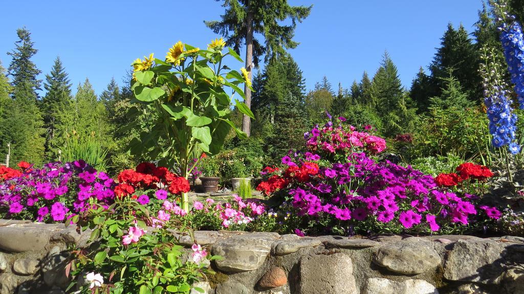 A Hidden Haven Cottages Port Angeles Eksteriør bilde