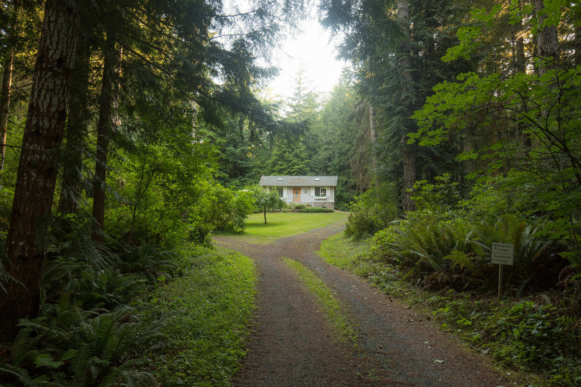 A Hidden Haven Cottages Port Angeles Eksteriør bilde